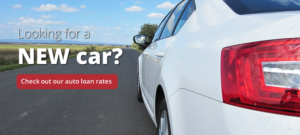 View our auto rates